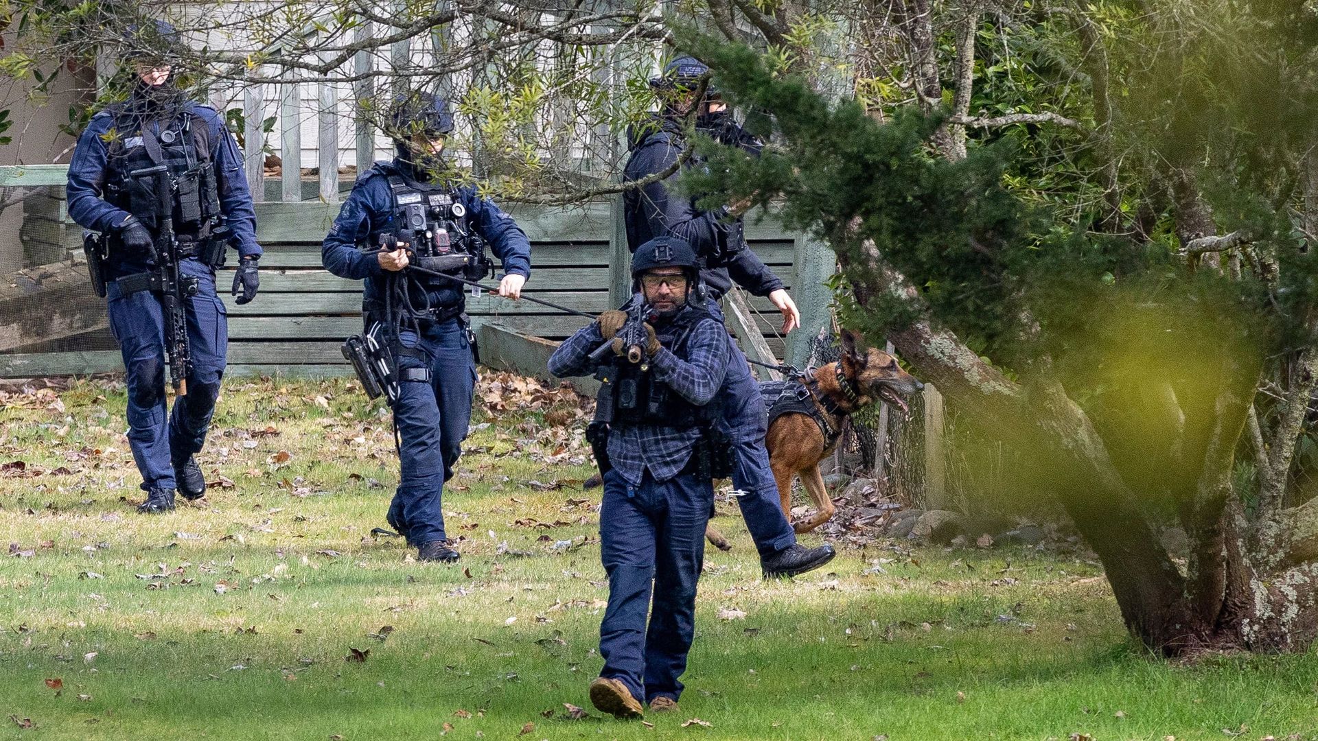 A tactical team and search dog sweeping the property in the hours after the shooting.