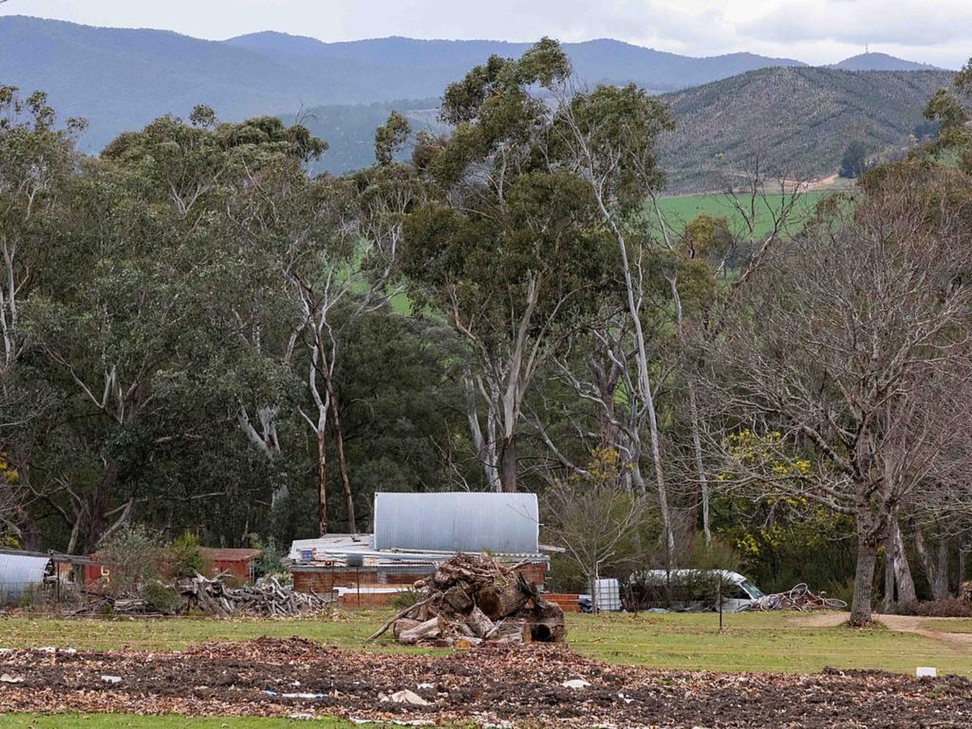 A quiet farm paddock beneath the ranges, sheds against the tree line.