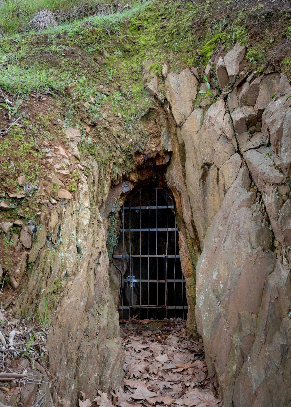 A barred and padlocked mineshaft entrance cut into the rock, leaves banked at the gate.