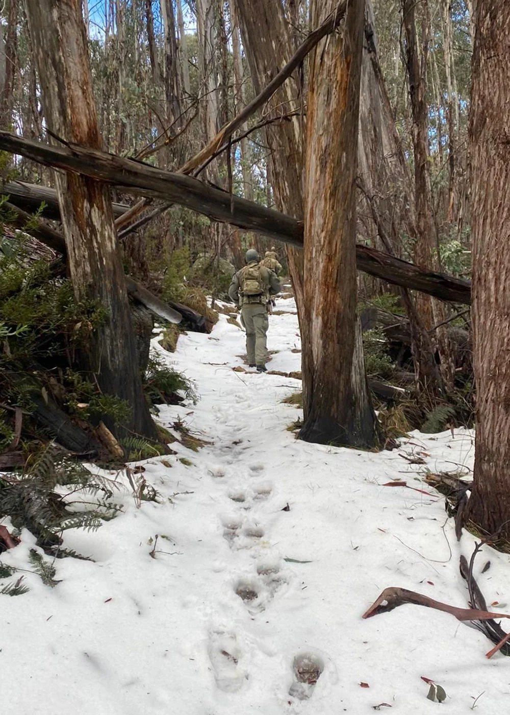 Two officers following boot prints along a snow trail through alpine ash.