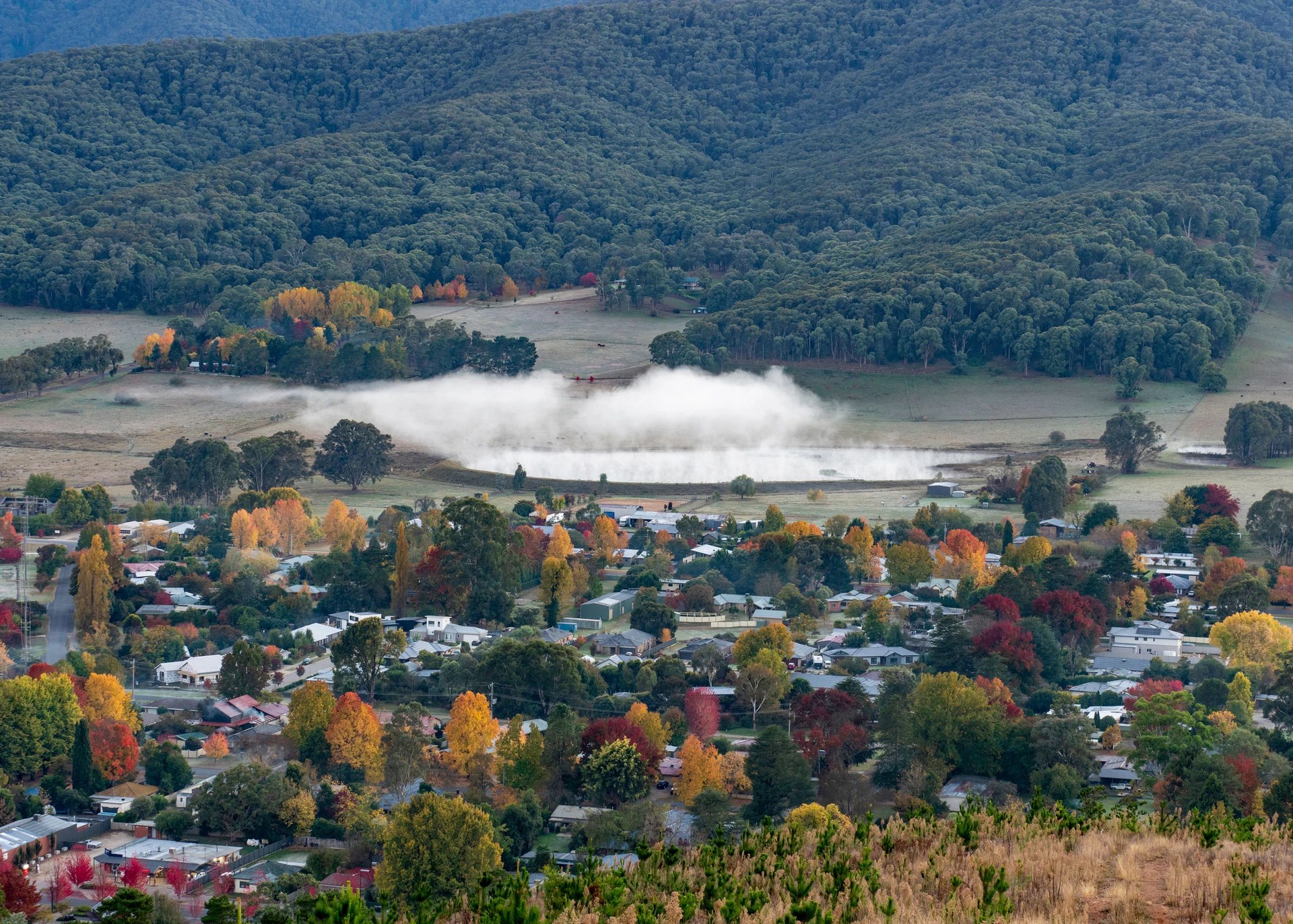 An elevated view over the township at first light, a fog bank lying on the river flat, forested ranges behind.