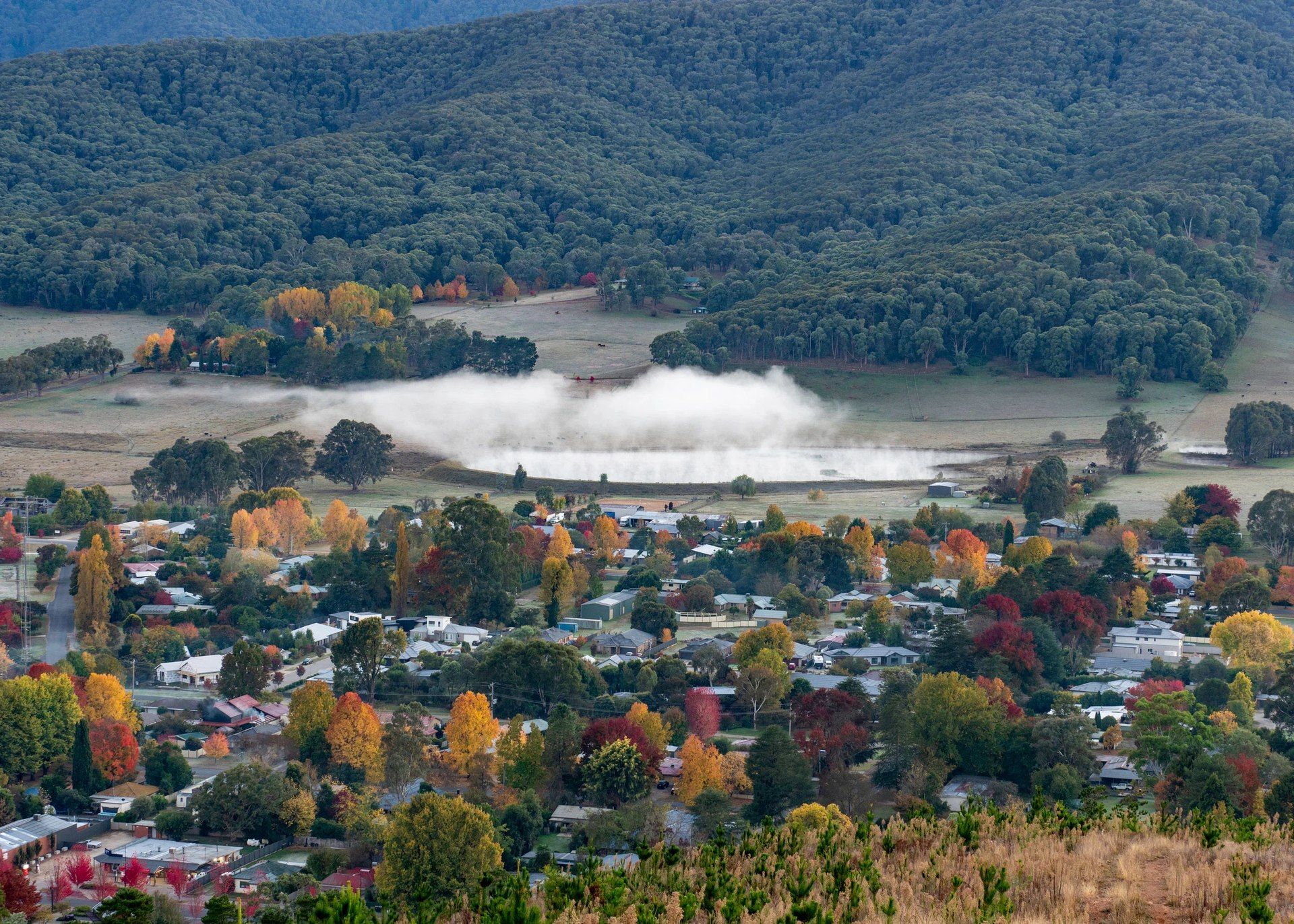 An elevated view over the township at first light, a fog bank lying on the river flat, forested ranges behind.