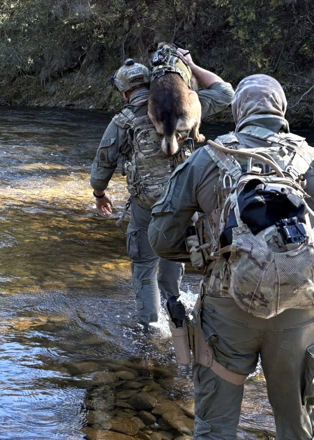 An officer carrying the search dog across a river on his shoulders.