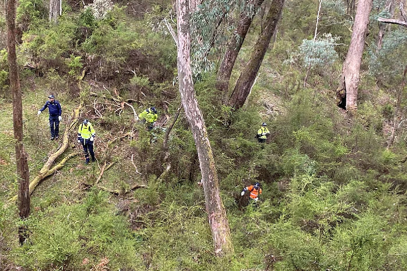 Searchers in high-vis moving through a gully.