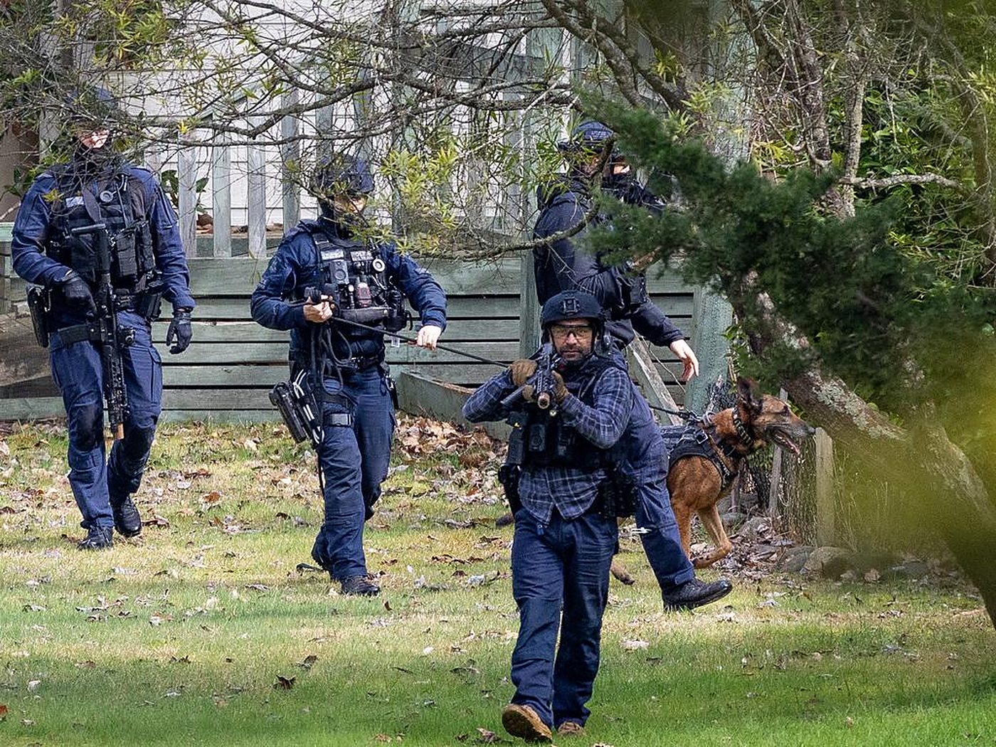 Tactical officers and a police dog moving through a garden.