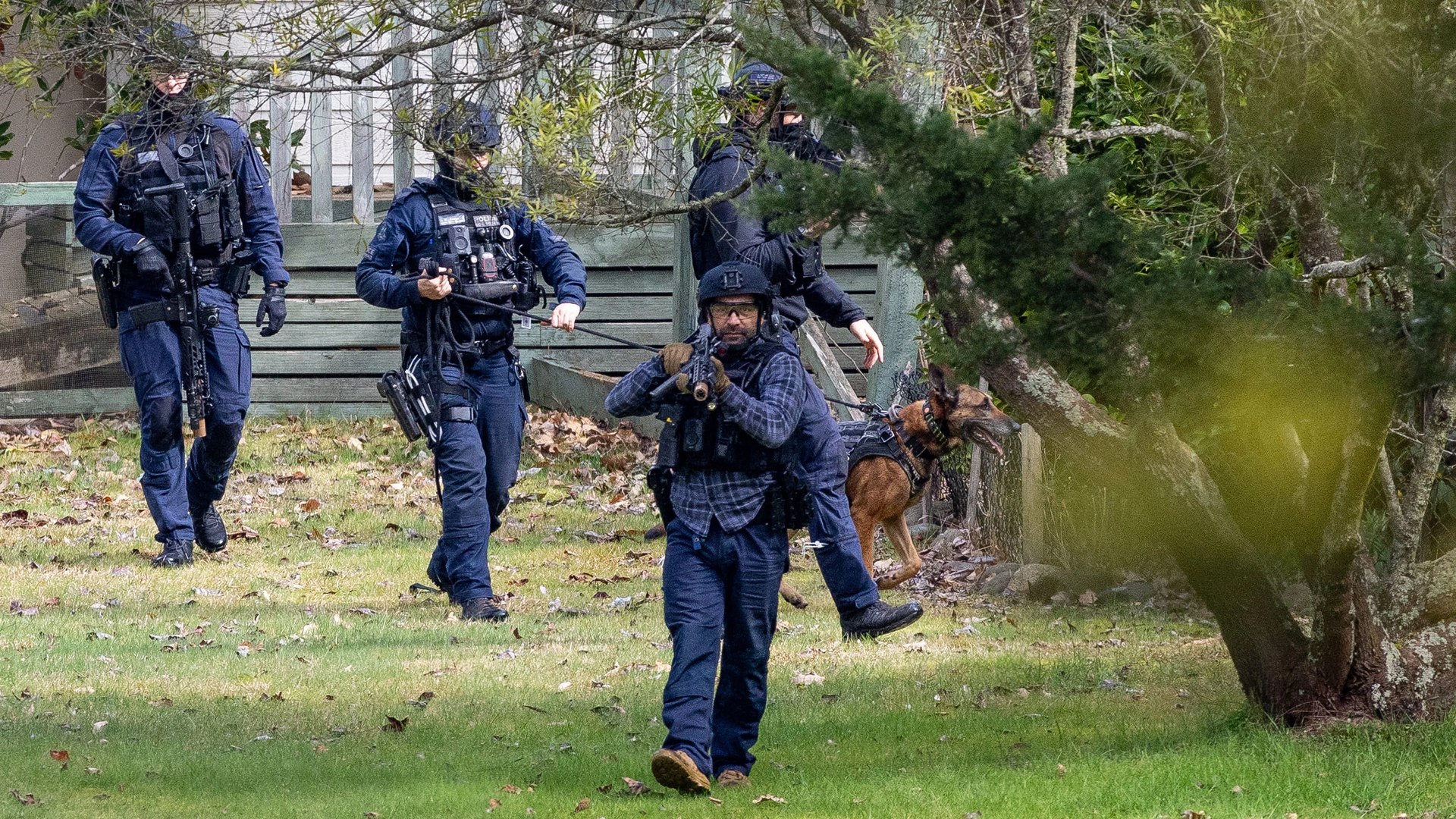 Tactical officers and a police dog moving through a garden.