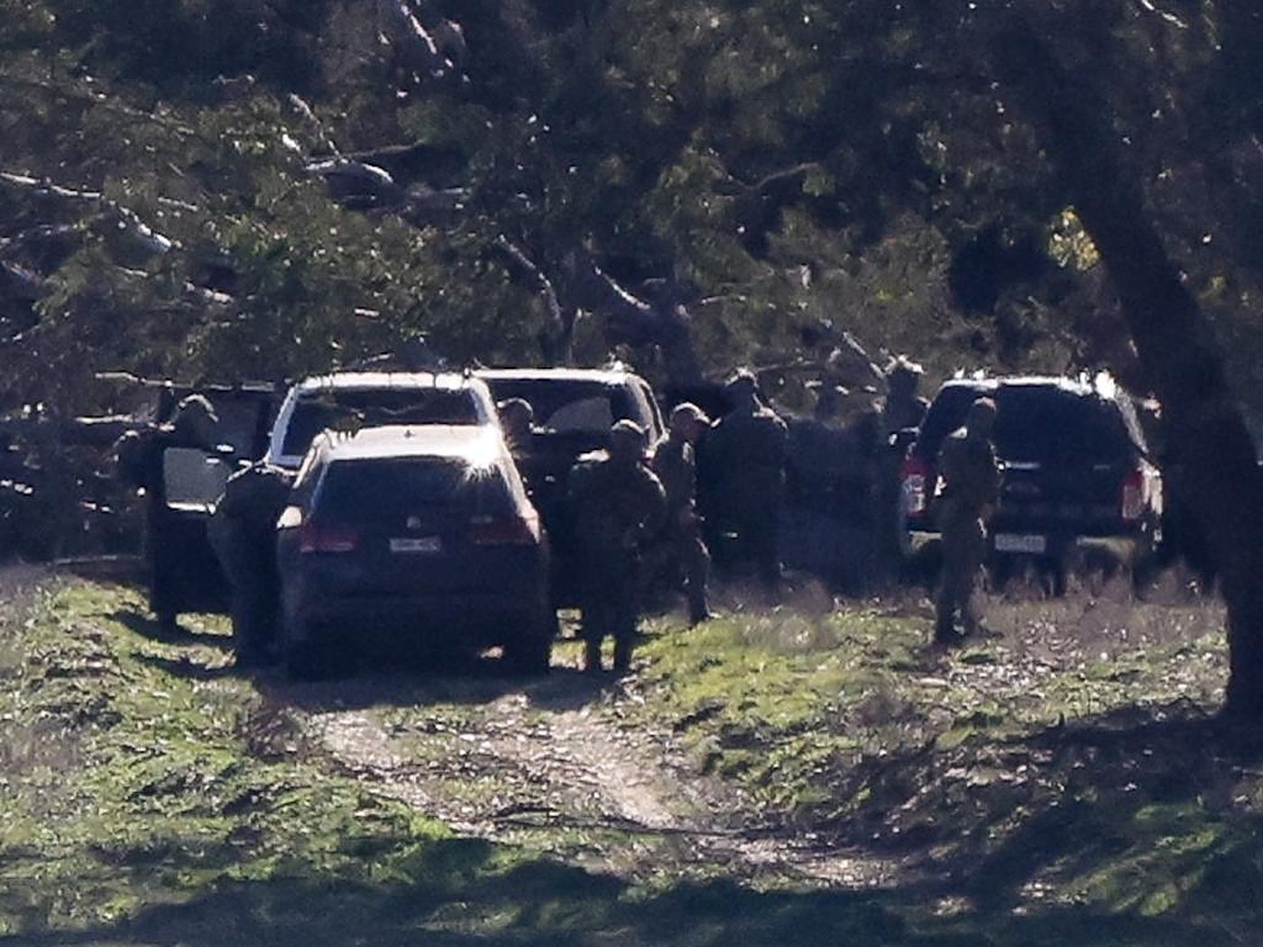 Police vehicles and officers half-hidden in a dark tree line.